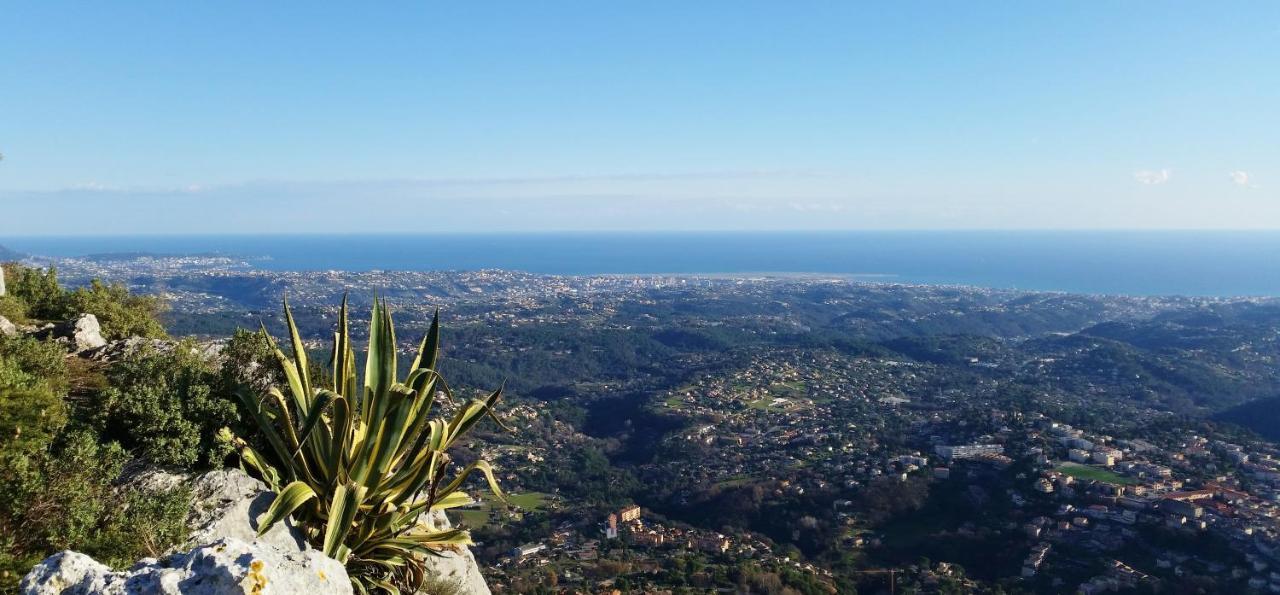 La Bastide Des Pins Acomodação com café da manhã Vence Exterior foto